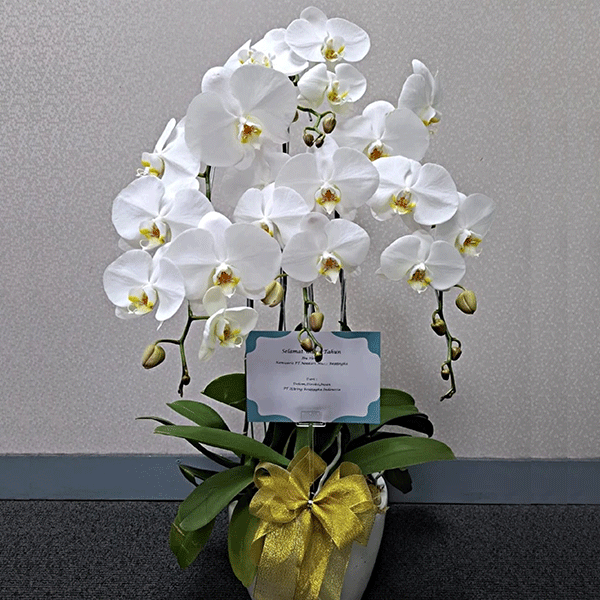 produk_bunga_nirwana__0003_Rangkaian-Anggrek-Bulan